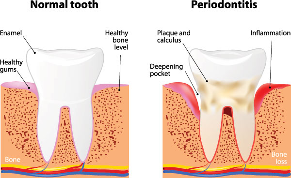 Granger Dentistry